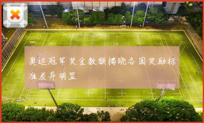 奥运冠军奖金数额揭晓各国奖励标准差异明显