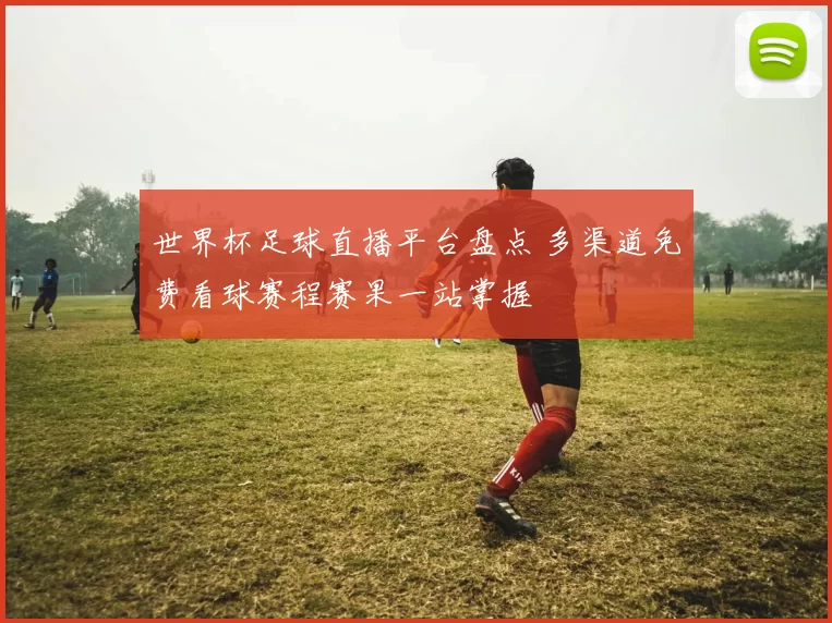 世界杯足球直播平台盘点 多渠道免费看球赛程赛果一站掌握