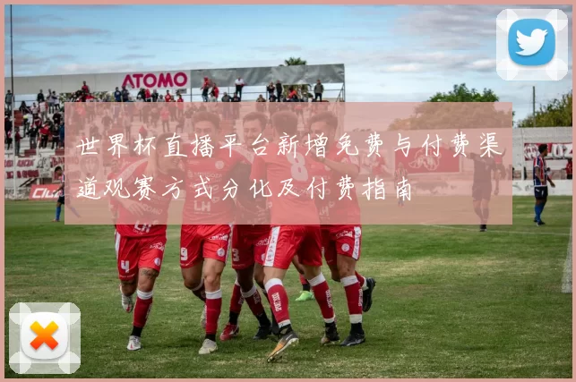世界杯直播平台新增免费与付费渠道观赛方式分化及付费指南