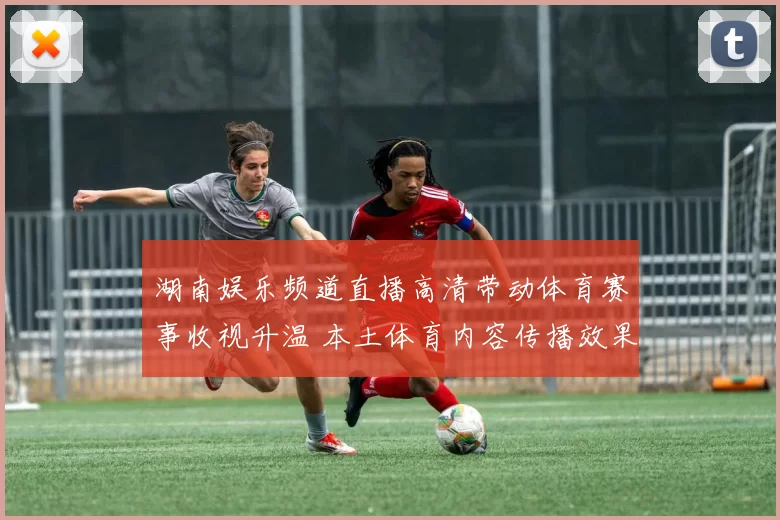 湖南娱乐频道直播高清带动体育赛事收视升温 本土体育内容传播效果明显