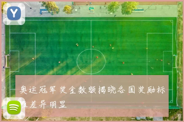 奥运冠军奖金数额揭晓各国奖励标准差异明显