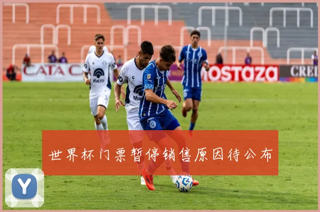 世界杯门票暂停销售原因待公布